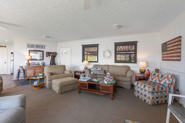 440 Bluff Point Ln, Waverly, TN 37185 - living area with carpet and a textured ceiling