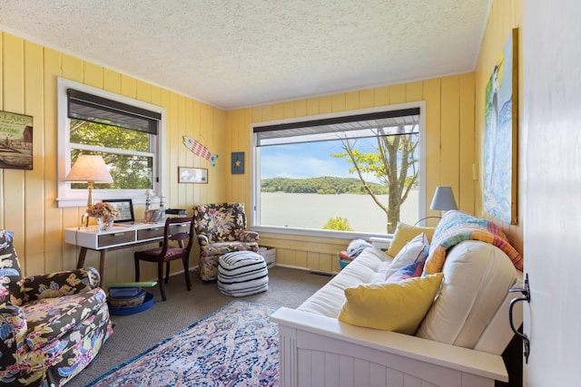 440 Bluff Point Ln, Waverly, TN 37185 - home office with carpet floors, a textured ceiling, and wooden walls