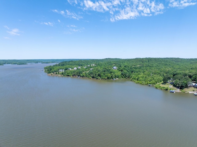 440 Bluff Point Ln, Waverly, TN 37185 - water view featuring a forest