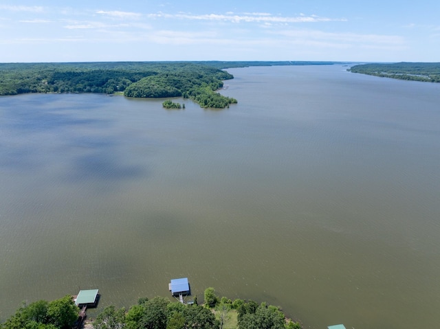 440 Bluff Point Ln, Waverly, TN 37185 - drone / aerial view of a large body of water