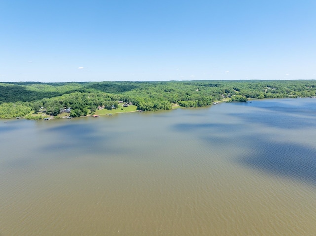 440 Bluff Point Ln, Waverly, TN 37185 - water view with a forest