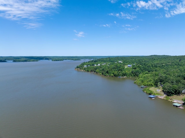440 Bluff Point Ln, Waverly, TN 37185 - water view with a forest