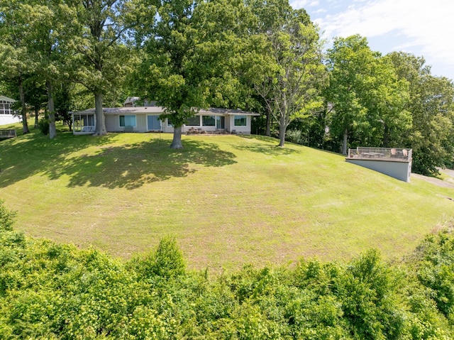 440 Bluff Point Ln, Waverly, TN 37185 - view of green lawn with view of wooded area