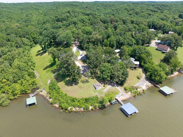 440 Bluff Point Ln, Waverly, TN 37185 - aerial view of property's location featuring a forest and a nearby body of water