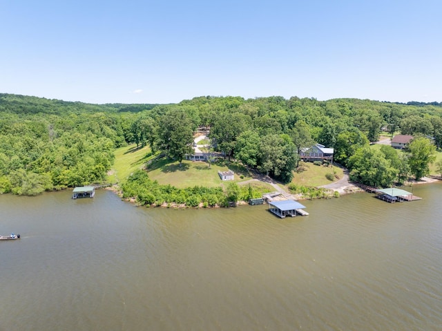 440 Bluff Point Ln, Waverly, TN 37185 - bird's eye view of a large body of water and a heavily wooded area