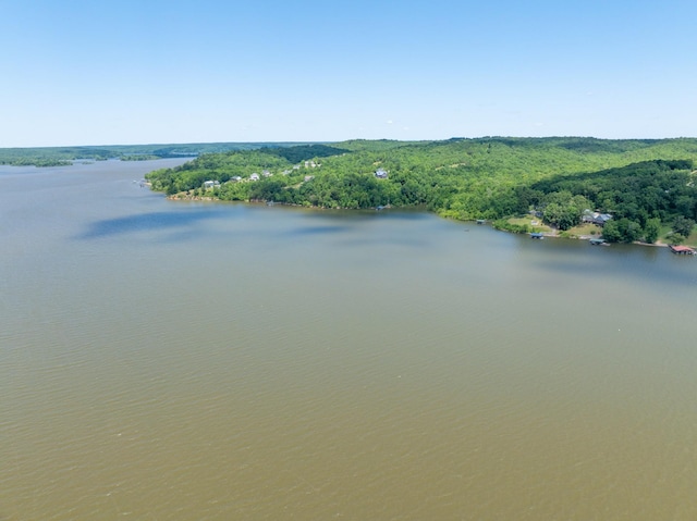 440 Bluff Point Ln, Waverly, TN 37185 - water view featuring a heavily wooded area