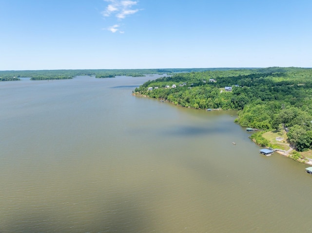 440 Bluff Point Ln, Waverly, TN 37185 - water view with a forest