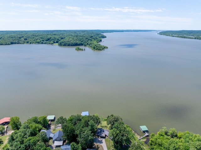 440 Bluff Point Ln, Waverly, TN 37185 - bird's eye view of a nearby body of water and a heavily wooded area