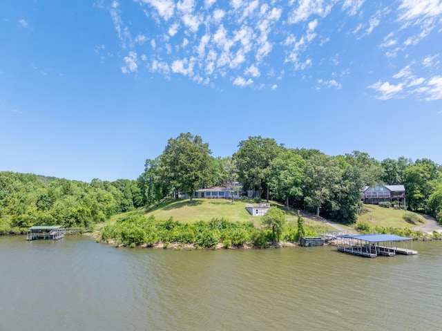 440 Bluff Point Ln, Waverly, TN 37185 - water view featuring a dock and a forest