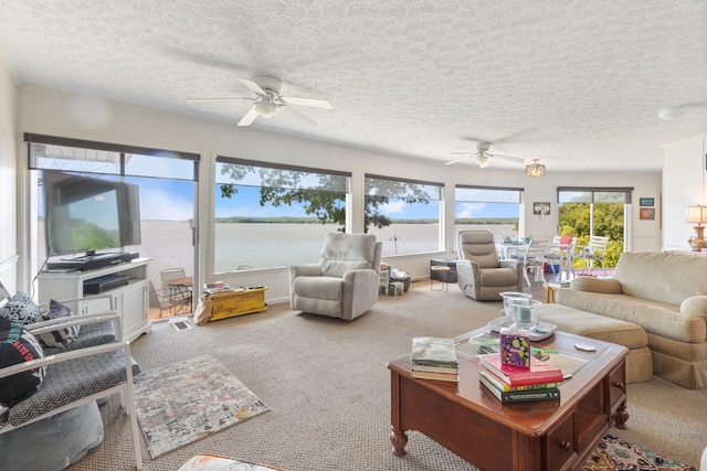 440 Bluff Point Ln, Waverly, TN 37185 - carpeted living area featuring ceiling fan and a textured ceiling