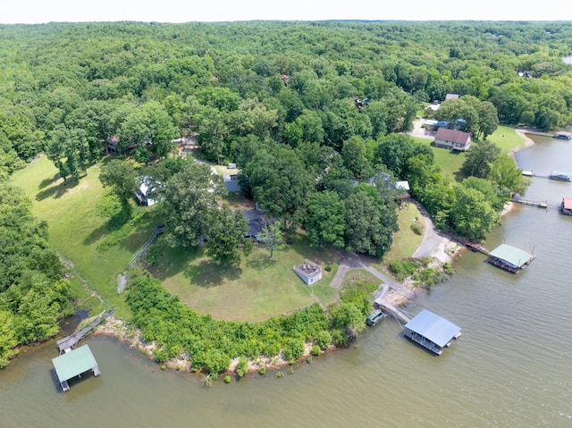 440 Bluff Point Ln, Waverly, TN 37185 - aerial view of property and surrounding area featuring a forest and a large body of water