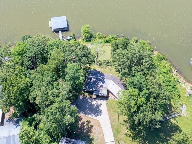 440 Bluff Point Ln, Waverly, TN 37185 - aerial view