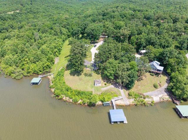 440 Bluff Point Ln, Waverly, TN 37185 - aerial view of property and surrounding area featuring a heavily wooded area and a nearby body of water
