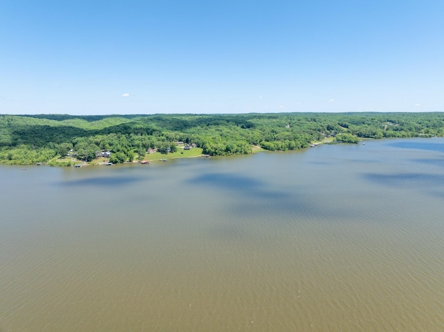 440 Bluff Point Ln, Waverly, TN 37185 - water view featuring a heavily wooded area