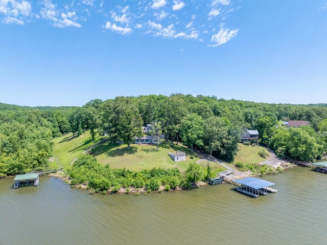 440 Bluff Point Ln, Waverly, TN 37185 - drone / aerial view of a large body of water