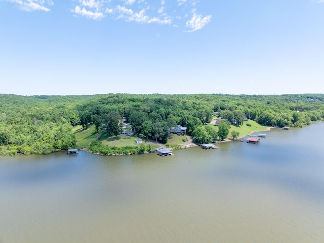 440 Bluff Point Ln, Waverly, TN 37185 - bird's eye view of a forest and a large body of water
