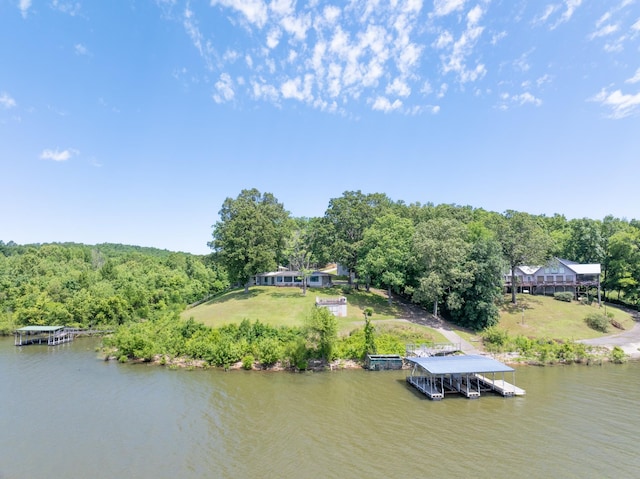 440 Bluff Point Ln, Waverly, TN 37185 - aerial view of property and surrounding area with a large body of water and a forest