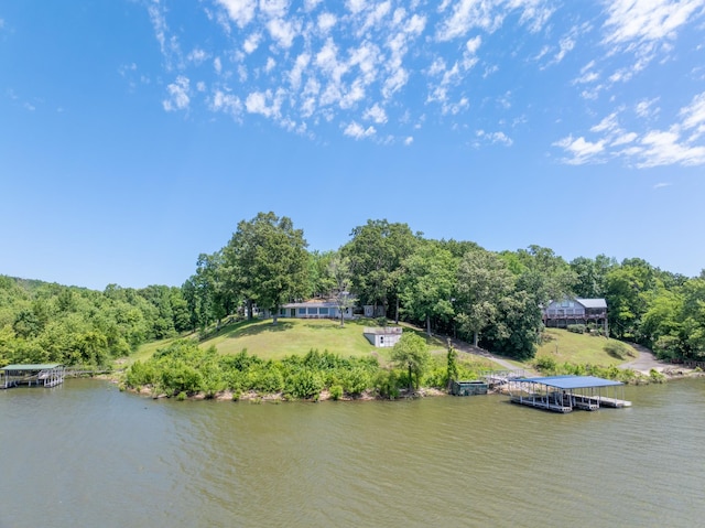 440 Bluff Point Ln, Waverly, TN 37185 - view of subject property featuring a large body of water and a heavily wooded area