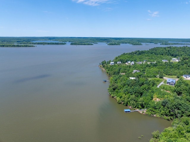 440 Bluff Point Ln, Waverly, TN 37185 - aerial view of a nearby body of water and a forest