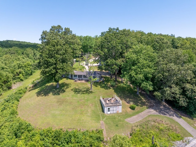 440 Bluff Point Ln, Waverly, TN 37185 - aerial view of property and surrounding area with a forest