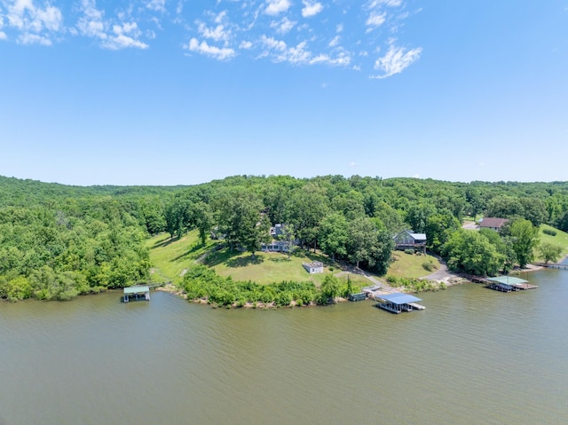 440 Bluff Point Ln, Waverly, TN 37185 - drone / aerial view of a heavily wooded area and a nearby body of water