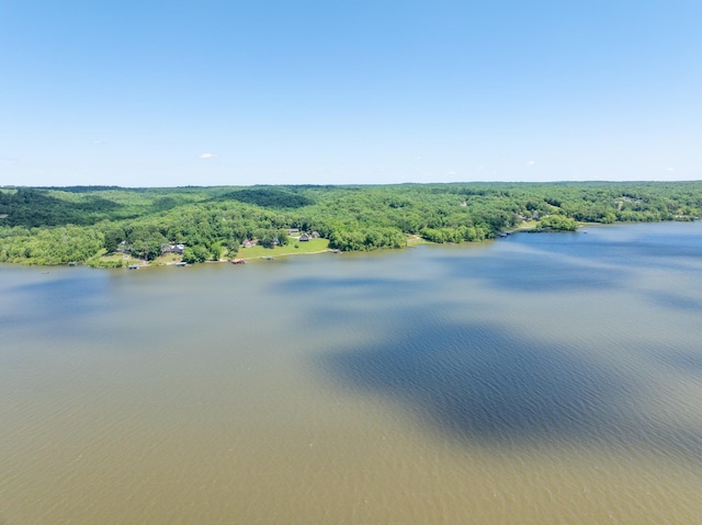 440 Bluff Point Ln, Waverly, TN 37185 - water view with a forest