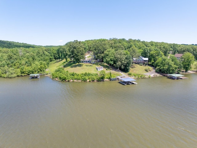 440 Bluff Point Ln, Waverly, TN 37185 - bird's eye view of a large body of water and a heavily wooded area