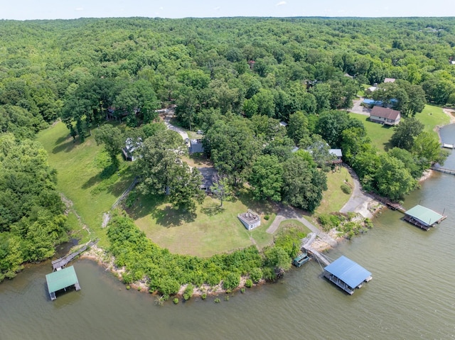 440 Bluff Point Ln, Waverly, TN 37185 - view of property location with a forest and a nearby body of water