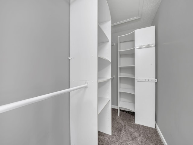 3825 Roscommon Way, Clarksville, TN 37040 - walk in closet with carpet flooring