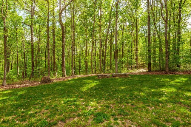 150C Dogwood Springs Dr, Portland, TN 37148 - photo 65