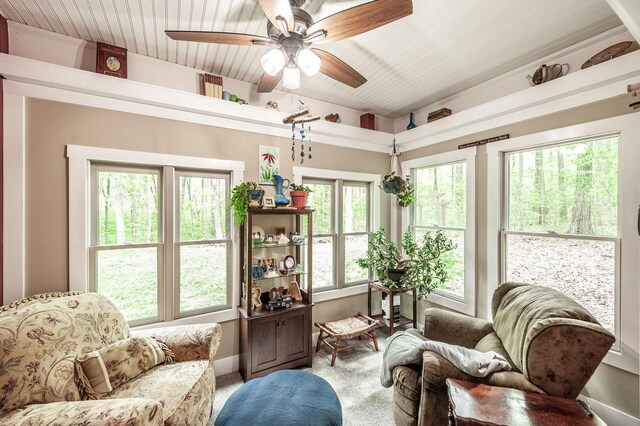 150C Dogwood Springs Dr, Portland, TN 37148 - photo 39