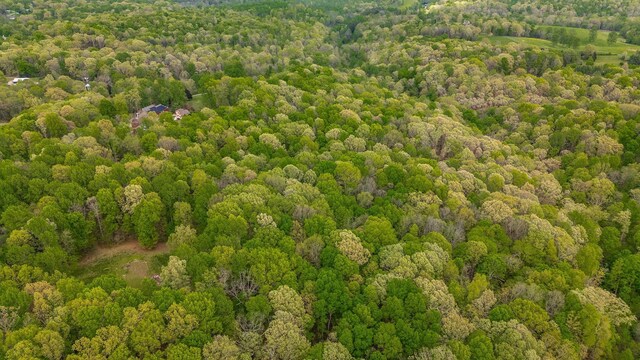 150C Dogwood Springs Dr, Portland, TN 37148 - photo 77