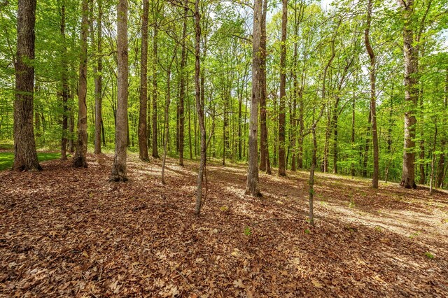150C Dogwood Springs Dr, Portland, TN 37148 - photo 73