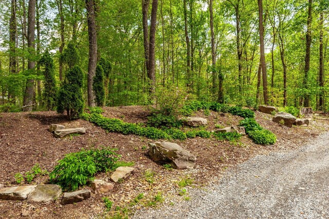 150C Dogwood Springs Dr, Portland, TN 37148 - photo 72