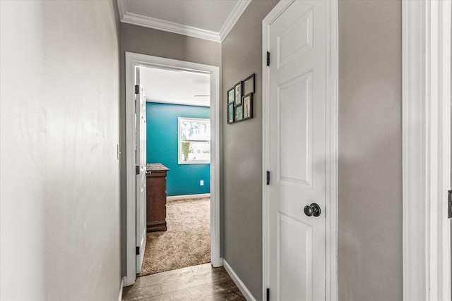 84 Del Toro Dr, Sparta, TN 38583 - corridor featuring crown molding, baseboards, and wood finished floors