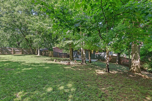 4183 Farmview Dr, Nashville, TN 37218 - photo 28