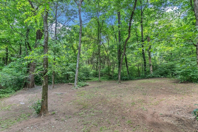 4480 Old Murfreesboro Rd W, Lebanon, TN 37090 - view of tree filled area