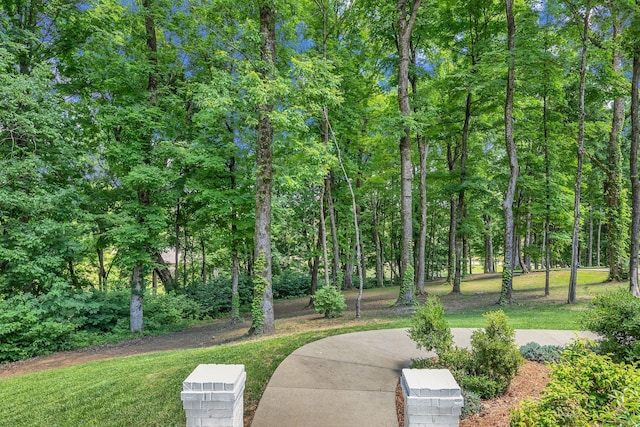 4480 Old Murfreesboro Rd W, Lebanon, TN 37090 - view of community featuring a lawn