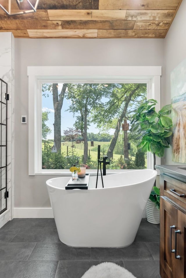 2878 Fly Rd, Santa Fe, TN 38482 - bathroom with plenty of natural light, a freestanding bath, a shower stall, and vanity
