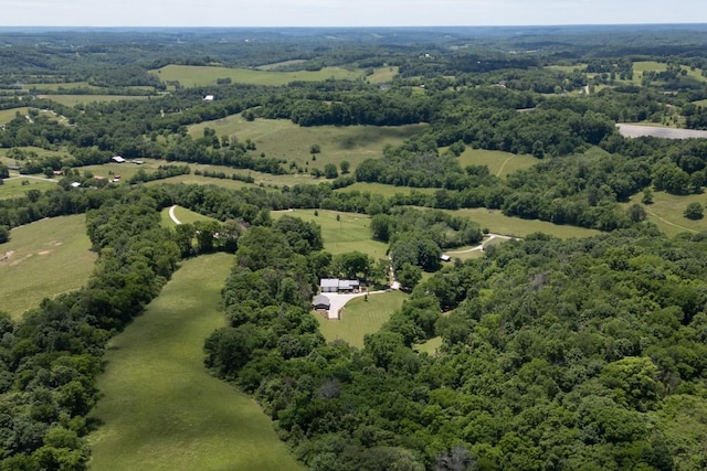 2878 Fly Rd, Santa Fe, TN 38482 - drone / aerial view of a forest