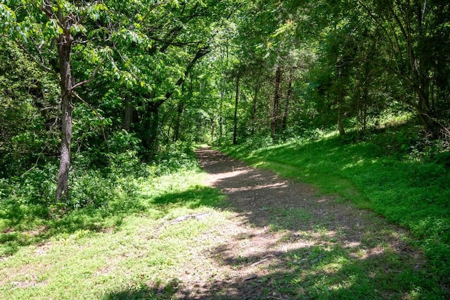 2878 Fly Rd, Santa Fe, TN 38482 - view of wooded area