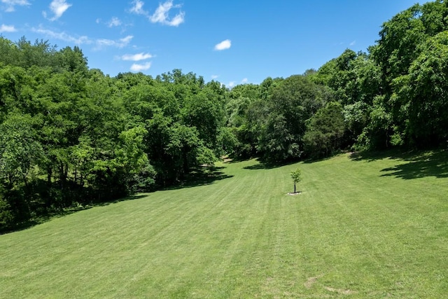 2878 Fly Rd, Santa Fe, TN 38482 - view of green lawn featuring a view of trees