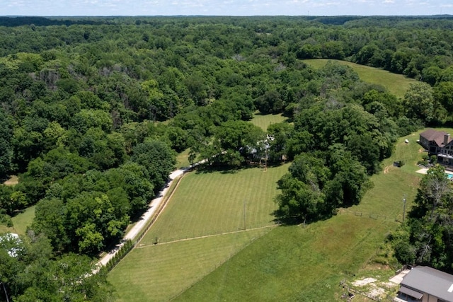 2878 Fly Rd, Santa Fe, TN 38482 - overview of rural landscape with a forest