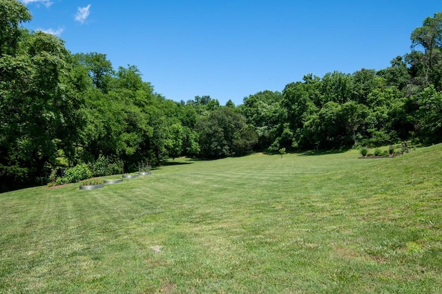2878 Fly Rd, Santa Fe, TN 38482 - view of green lawn with a wooded view