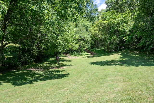 2878 Fly Rd, Santa Fe, TN 38482 - view of grassy yard featuring a view of trees