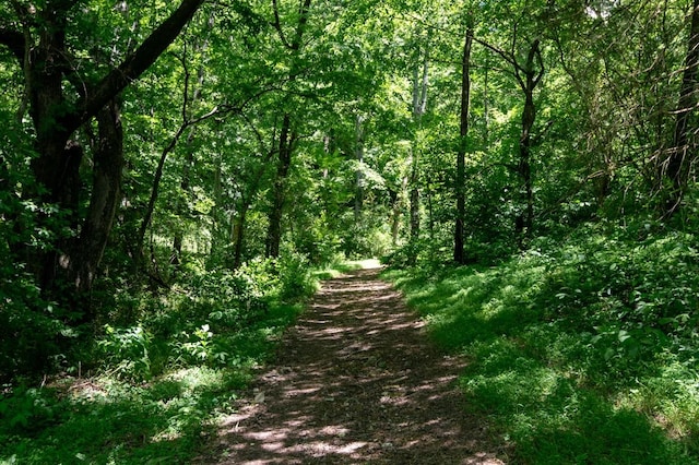 2878 Fly Rd, Santa Fe, TN 38482 - view of wooded area
