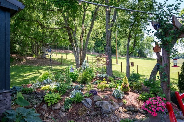 2878 Fly Rd, Santa Fe, TN 38482 - view of yard