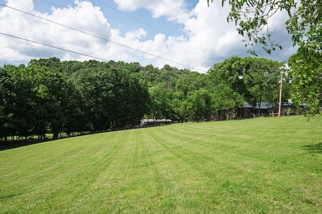 2878 Fly Rd, Santa Fe, TN 38482 - view of yard