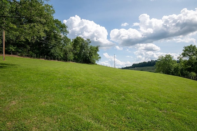 2878 Fly Rd, Santa Fe, TN 38482 - view of grassy yard