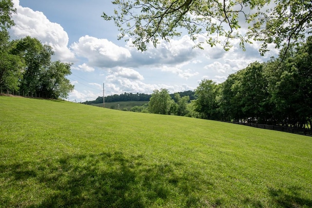 2878 Fly Rd, Santa Fe, TN 38482 - view of yard